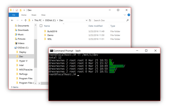 Linux Bash Shell