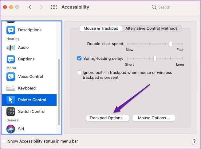 Mac trackpad options