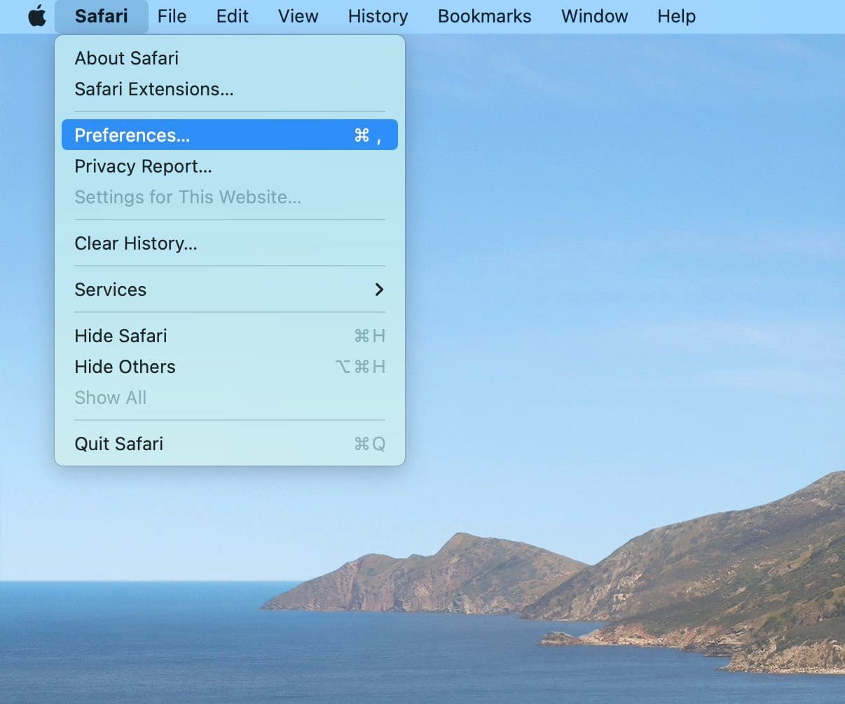 Open safari preferences