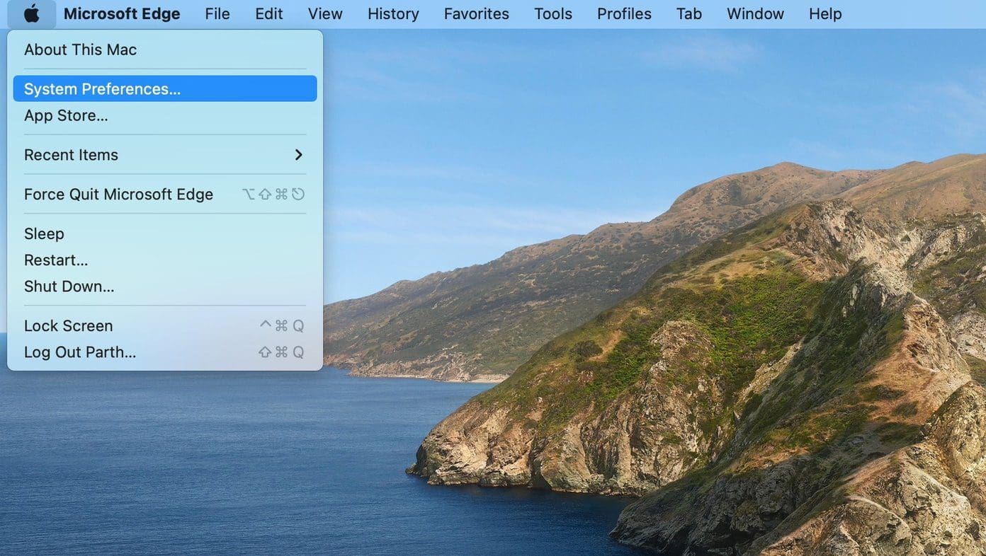Open system preferences menu