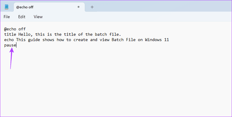 pause command in notepad