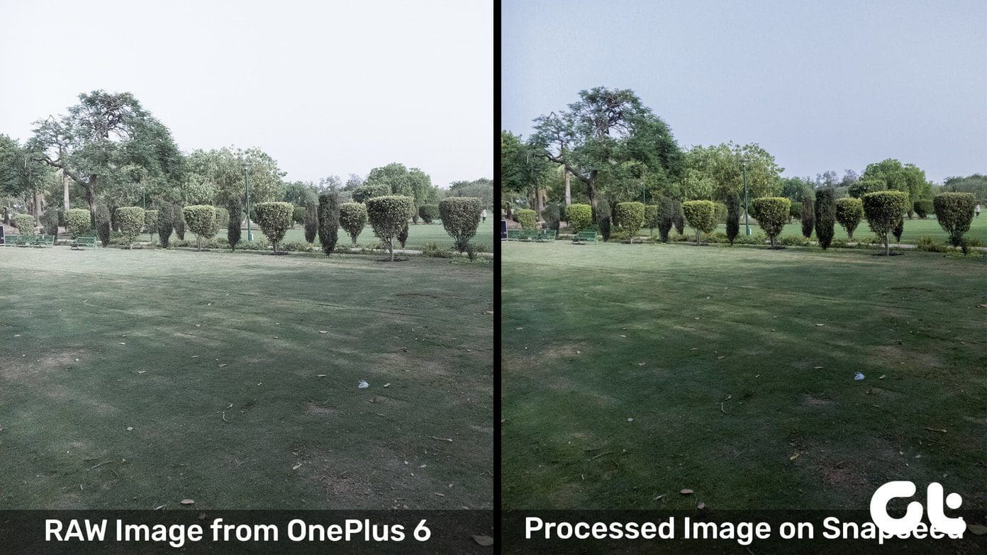 Raw Vs Processed One Plus 6
