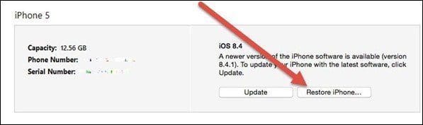 Restore Iphone