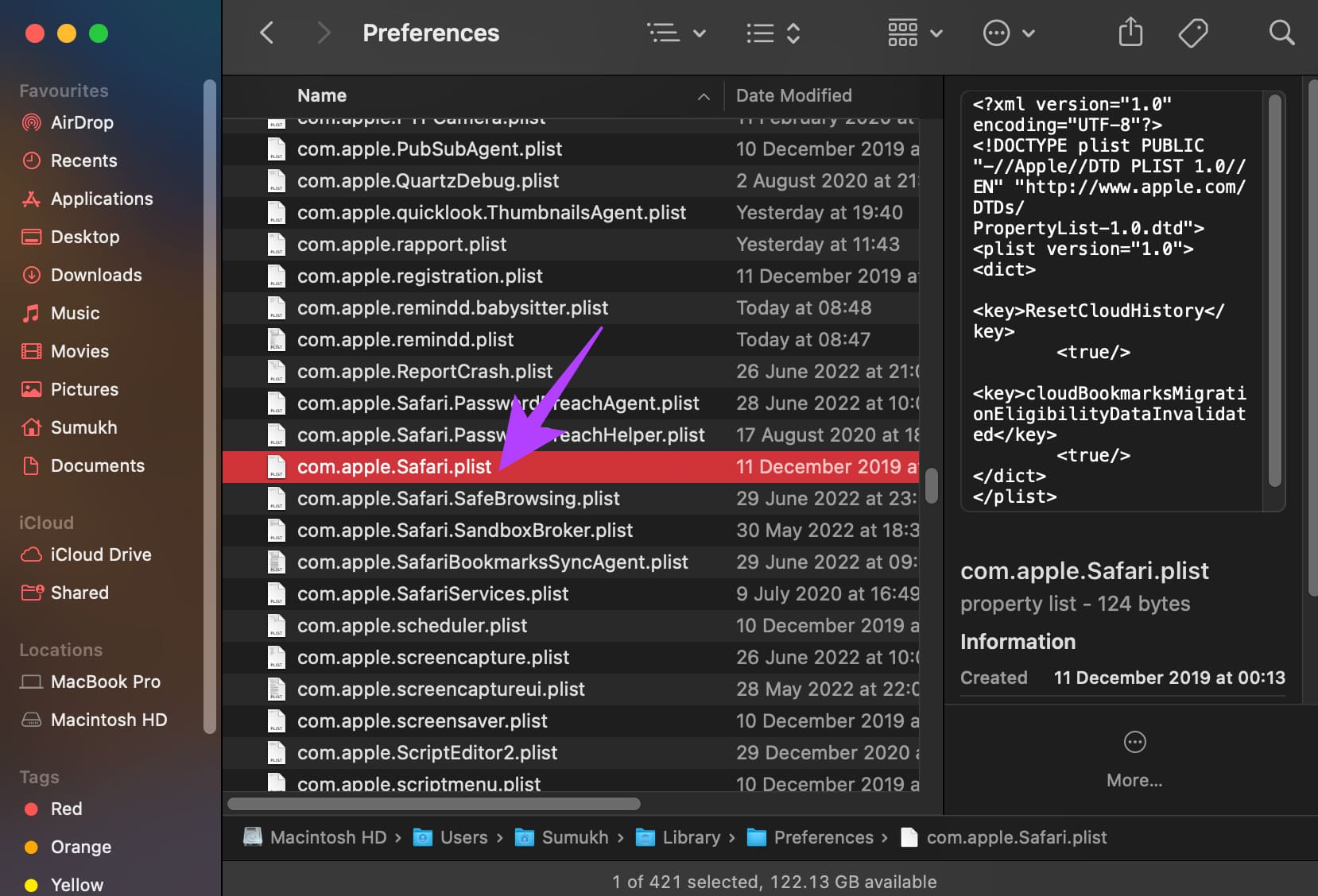 Safari plist