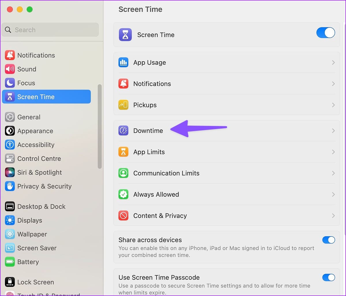 Downtime Screen Time on Mac