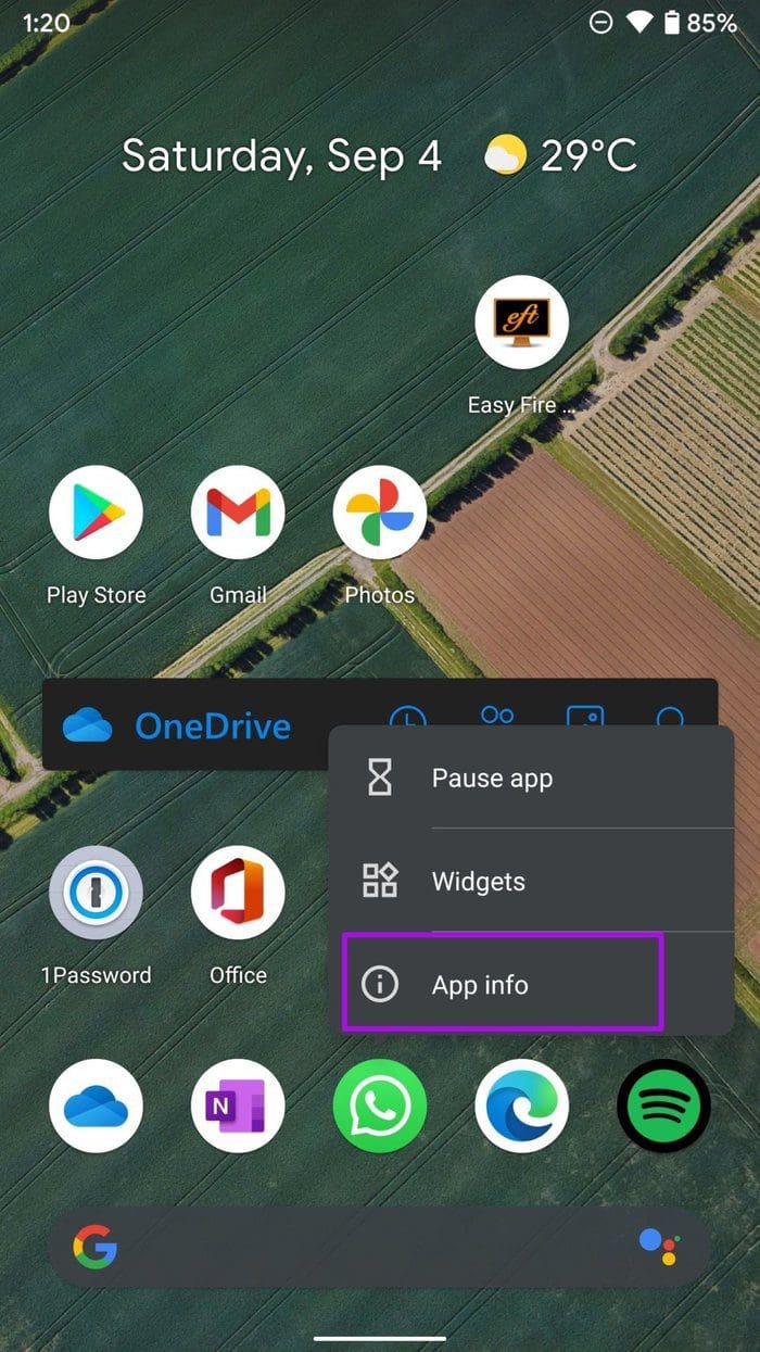 Select app info menu