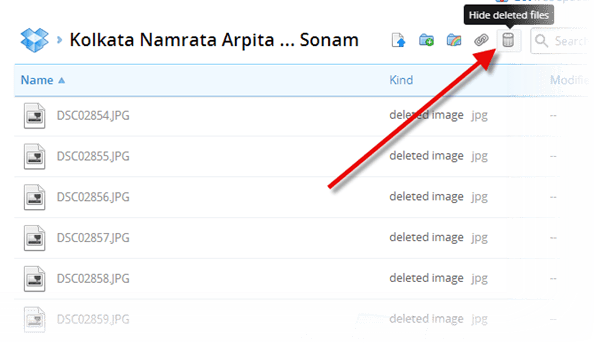 Show Deleted Files