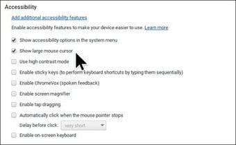 Show Large Cursor1