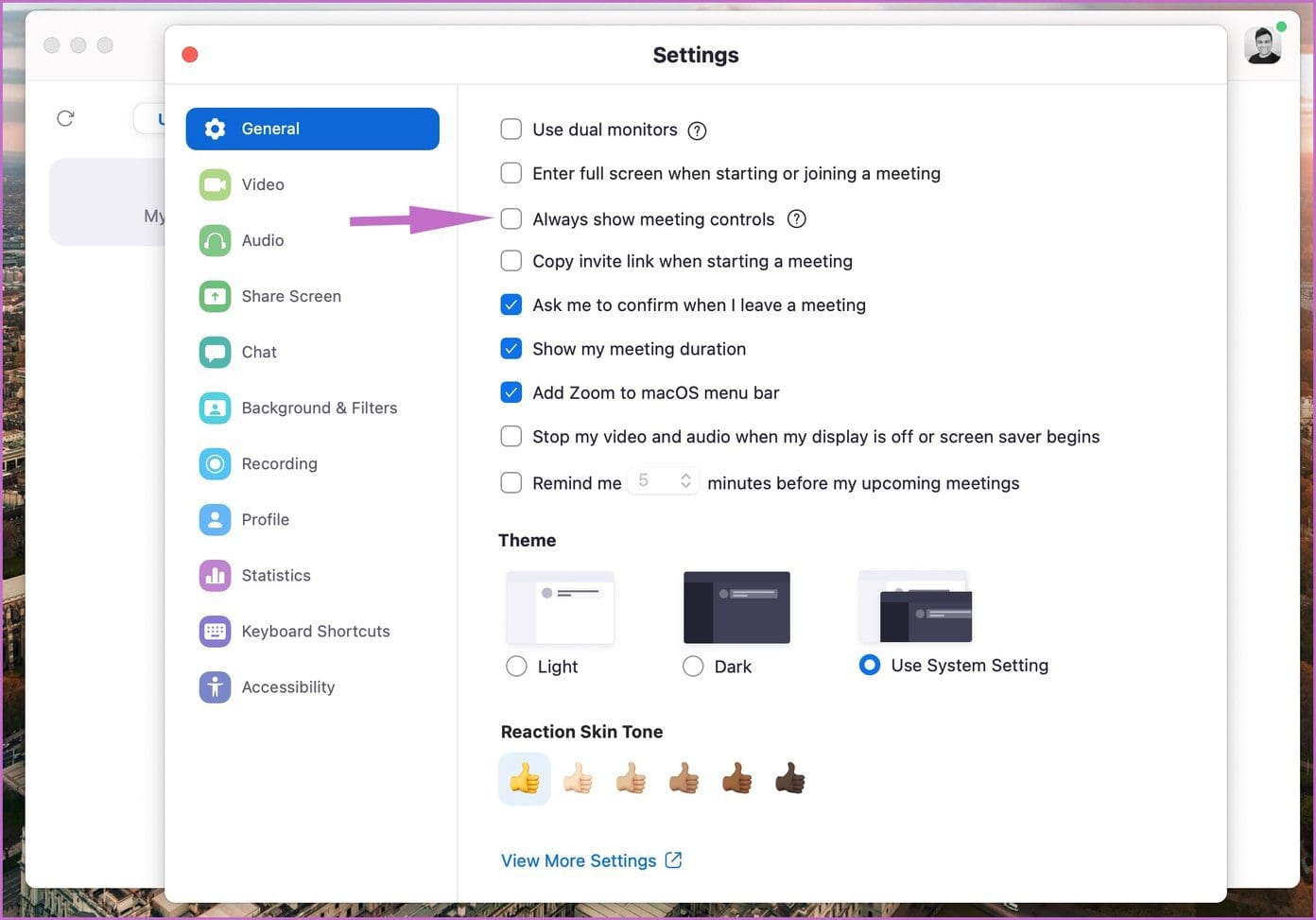 Show meeting controls
