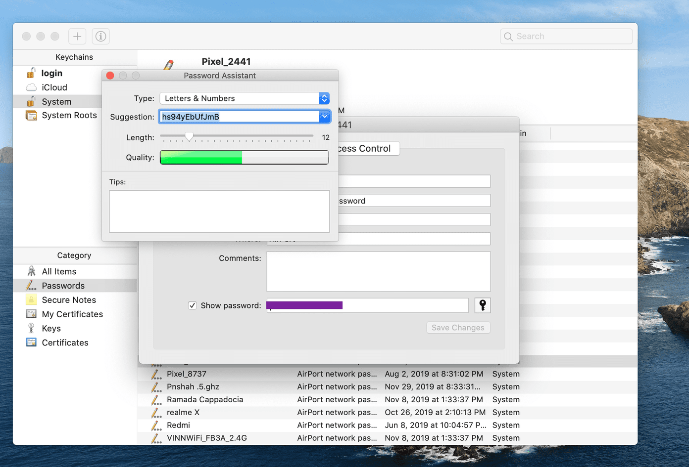 Show password assist