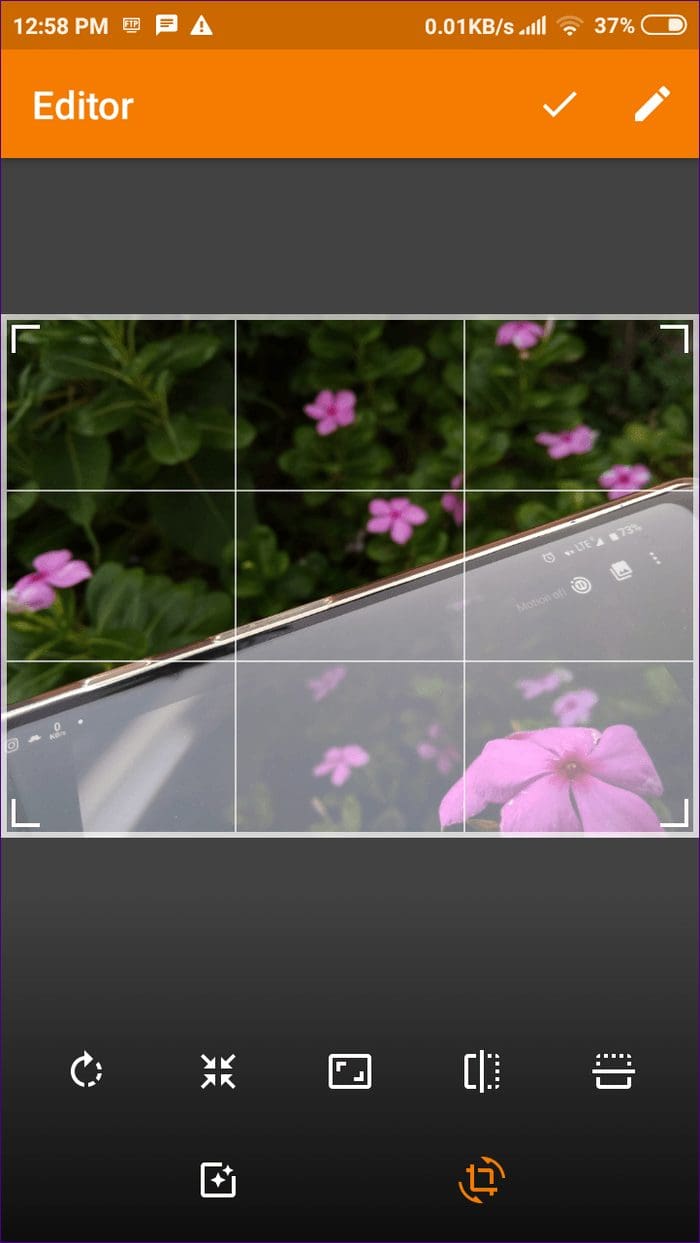 Simple Gallery Tips Tricks 21