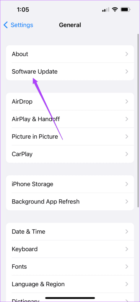 software update general settings iphone