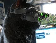 Spy