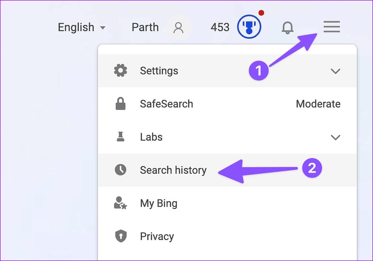 Bing Chat Search History