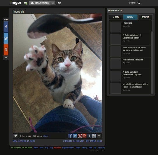 Upvotemecatc