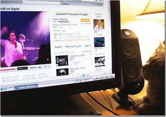 Watchingyoutube