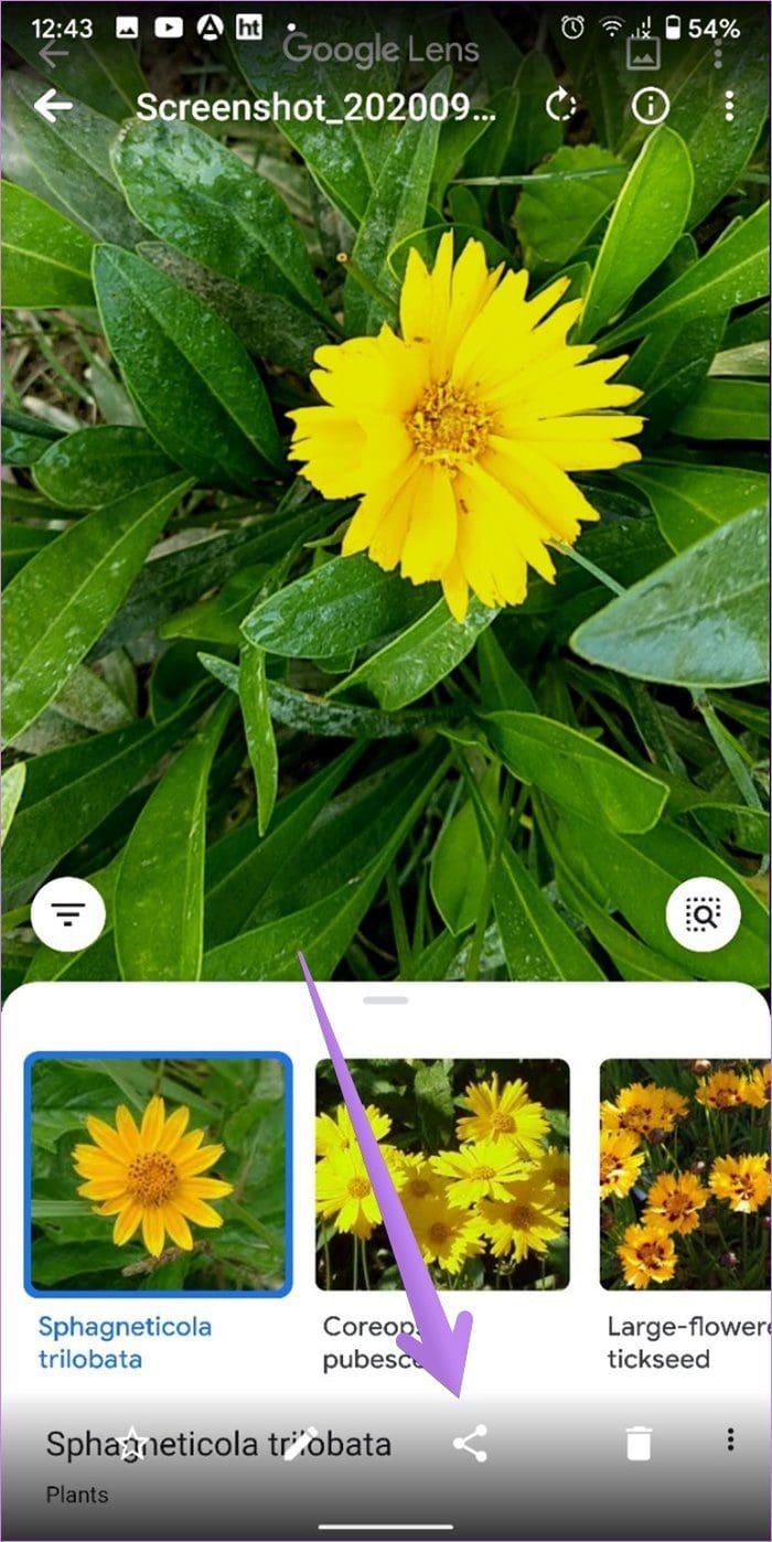What is nearby sharing on android 2a