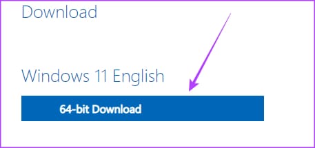 Download button