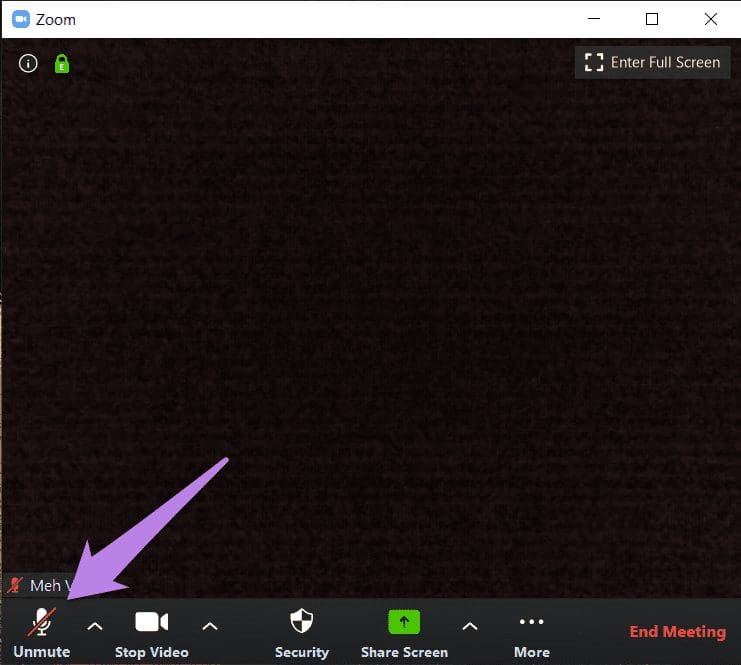 Zoom microphone not working issue 1