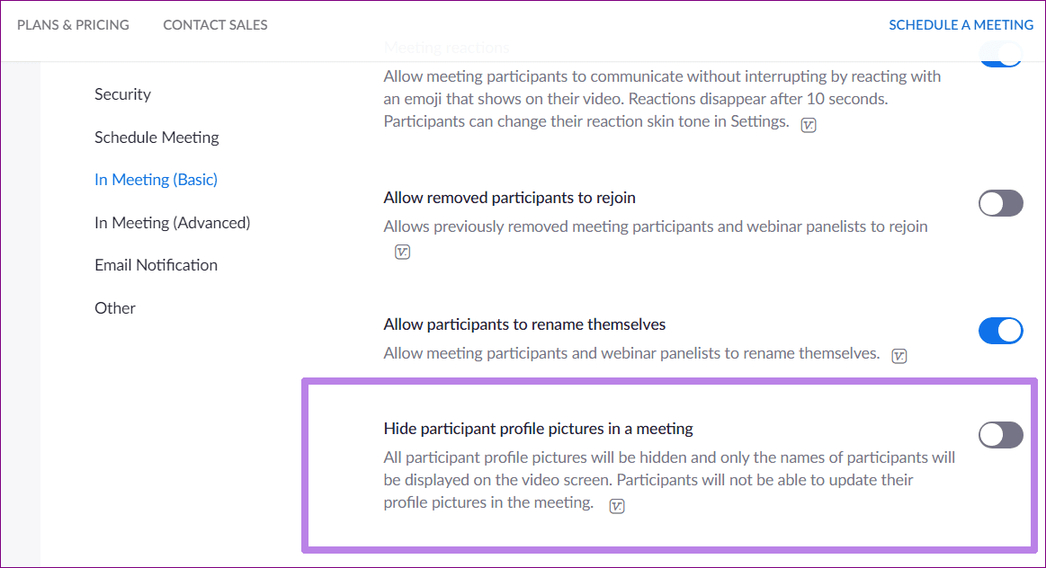 Zoom profile picture not showing 11