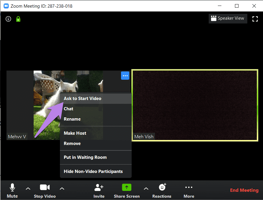Zoom show profile picture instead of name video 14